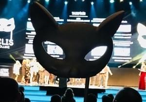 Felis'ten Ödülle Döndük!