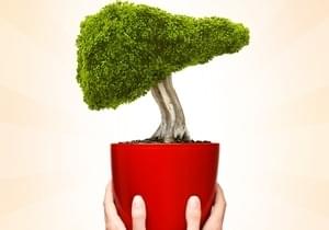 Karaciğer Nakli Merkezi Hasta Kabulüne Başlamıştır