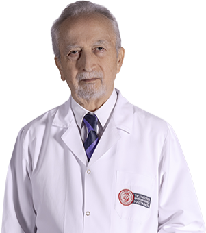 Prof. Md Mehmet Balkanay