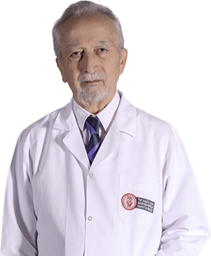 Prof. Md Mehmet Balkanay